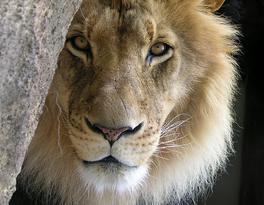 Image by Ray Grau
