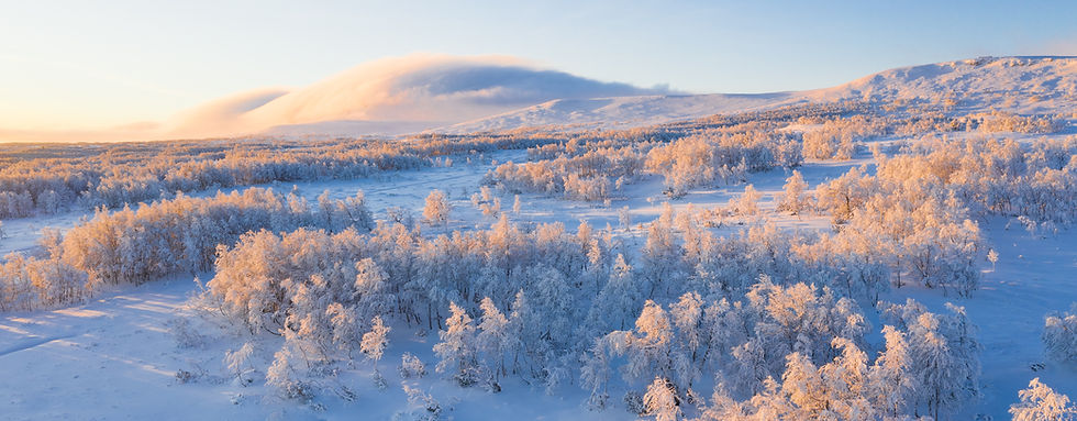 Image by Jaanus Jagomägi