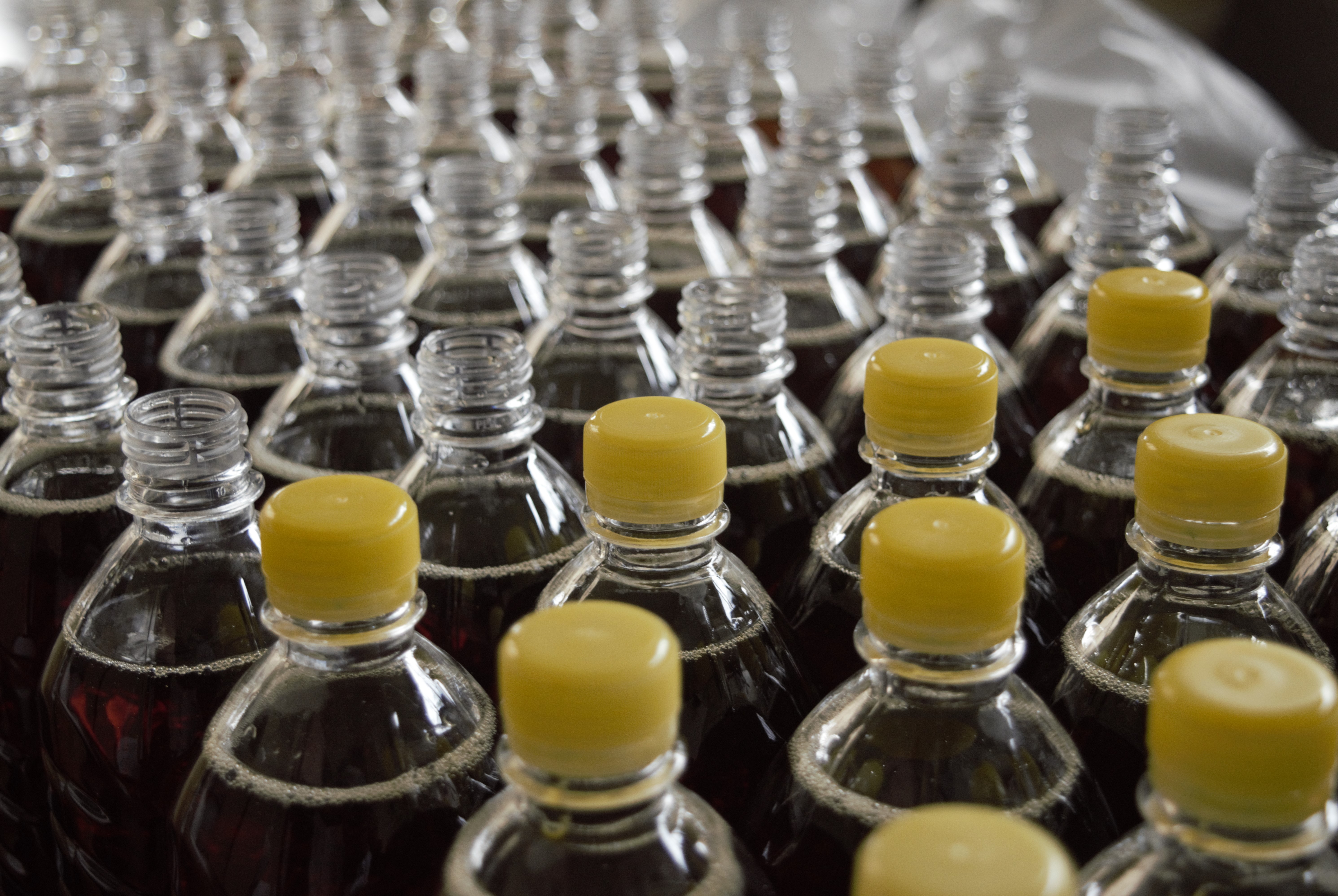 Food Processing