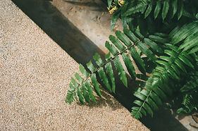 Image de Tanaphong Toochinda