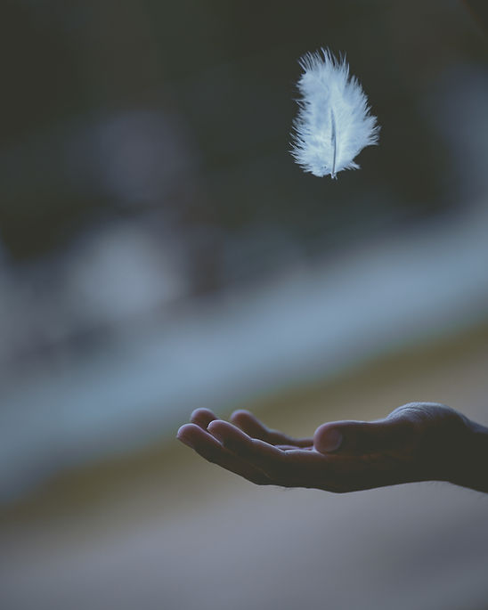 Hand with feather falling in to it