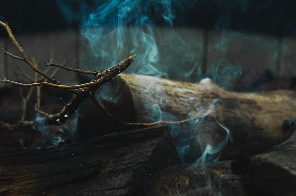 Image by Taylor Wilcox