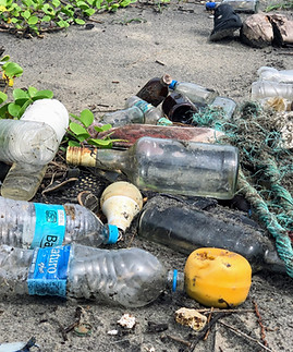 Image by John Cameron