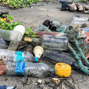 THE STRENGTHS AND WEAKNESSES OF CANADA’S PROPOSED PLASTiC PROHiBiTiON REGULATiONS