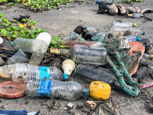 SALVIAMOCI DALLA PLASTICA! (E NON E' ARGOMENTO SOLO DA ECOLOGISTI)