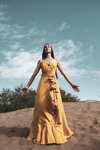Phoenix rise woman rise tara fishcer queendom