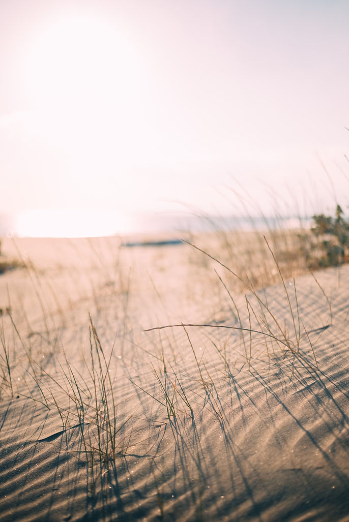 Peachy Outlook shed chronic stress, joy, authentic living