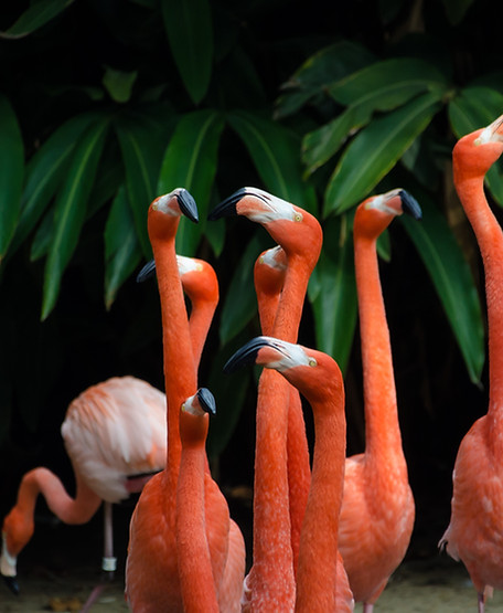 Image by Ganapathy Kumar
