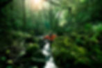 Image by Akash Banakar