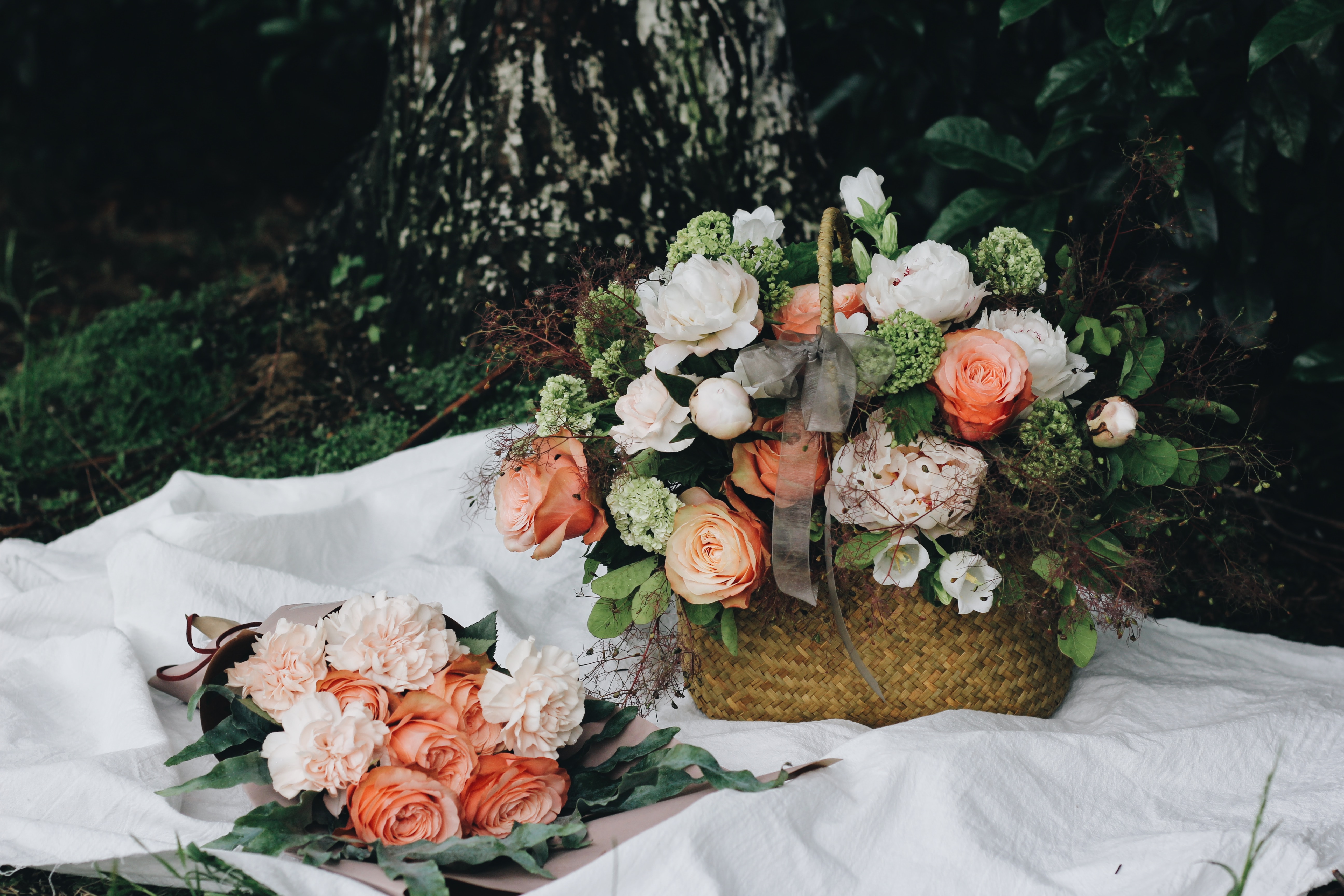 Image by Lizzie