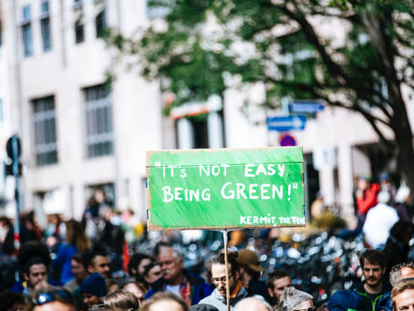 Taiwan Carbon Pricing: From Zero To Net Zero?