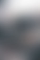 NaNoWriMo Synopsis: Project V