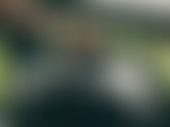 Tuesday Morning Tidy: Easy Barbeque Beans Recipe