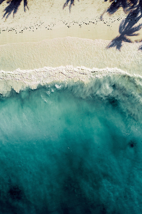 Image by Andre Abreu