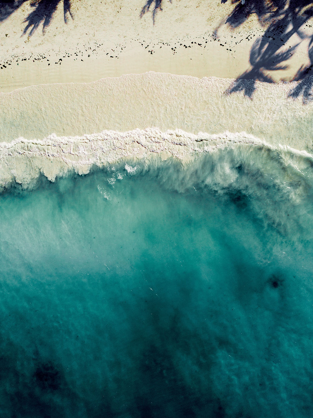 Image by Andre Abreu
