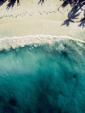 Image by Andre Abreu