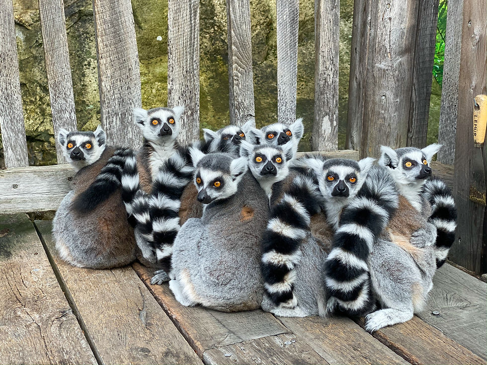 Image by Victoria Bragg