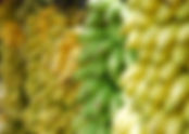 Is a Banana a Berry or Fruit? The Surprising Truth