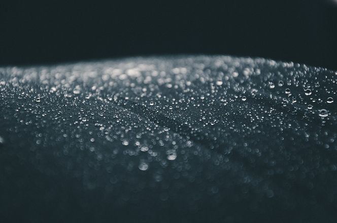 Image by Anh Nguyen
