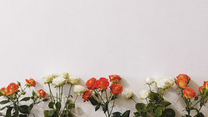 A Kiss from Rose | Healing the Sick