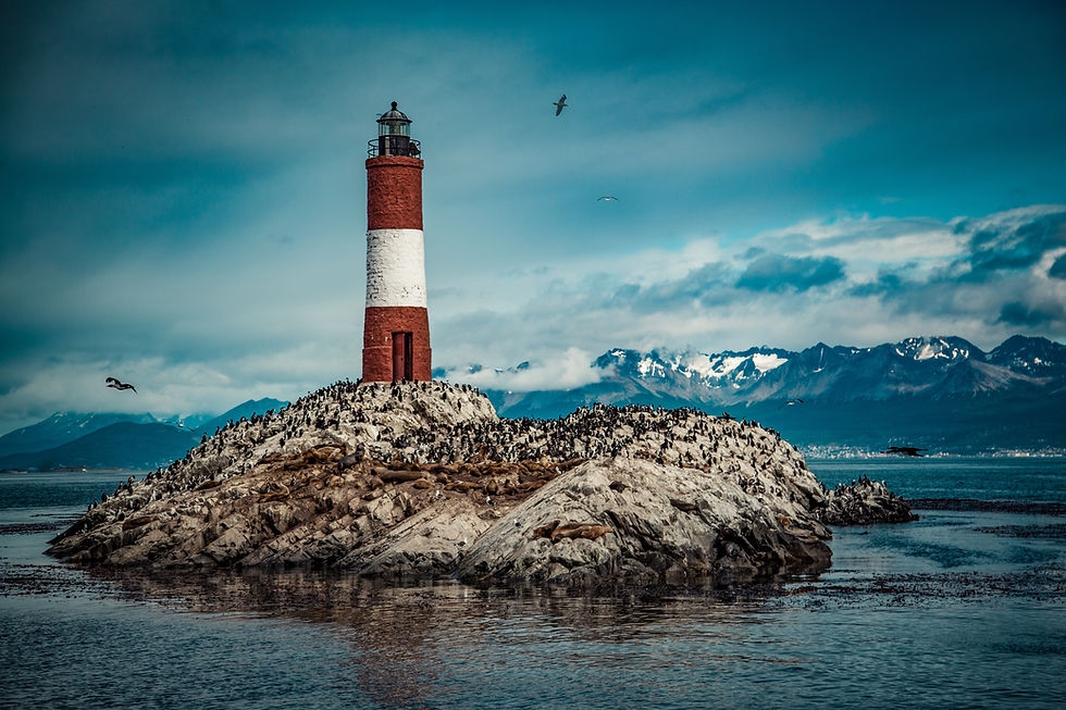 Image by Luuk Wouters