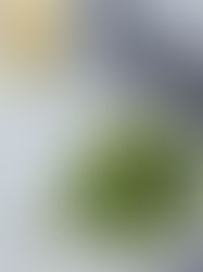 Der kulinarische Gründonnerstag: Tradition trifft Geschmack