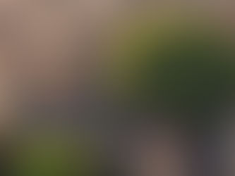 Madeleine Brettingham Crowned Champion of Bath Comedy Festival 2025