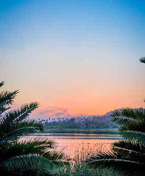 Image by OC Gonzalez