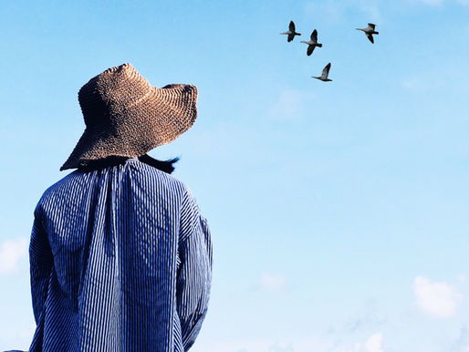 Embracing Change; A guide from Estate Inventory Services