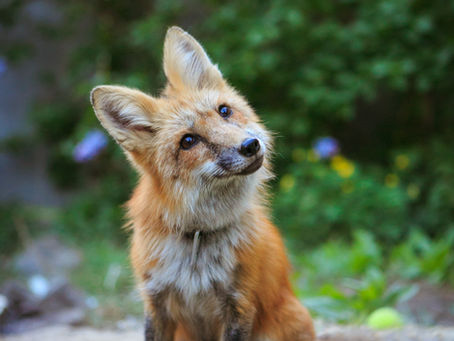 DeacoNote 25: Foxhole Prayers