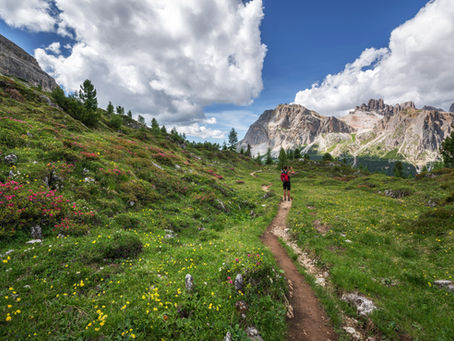 Alpine Paradise: Valley of Flowers in Full Bloom (July-August 2025)