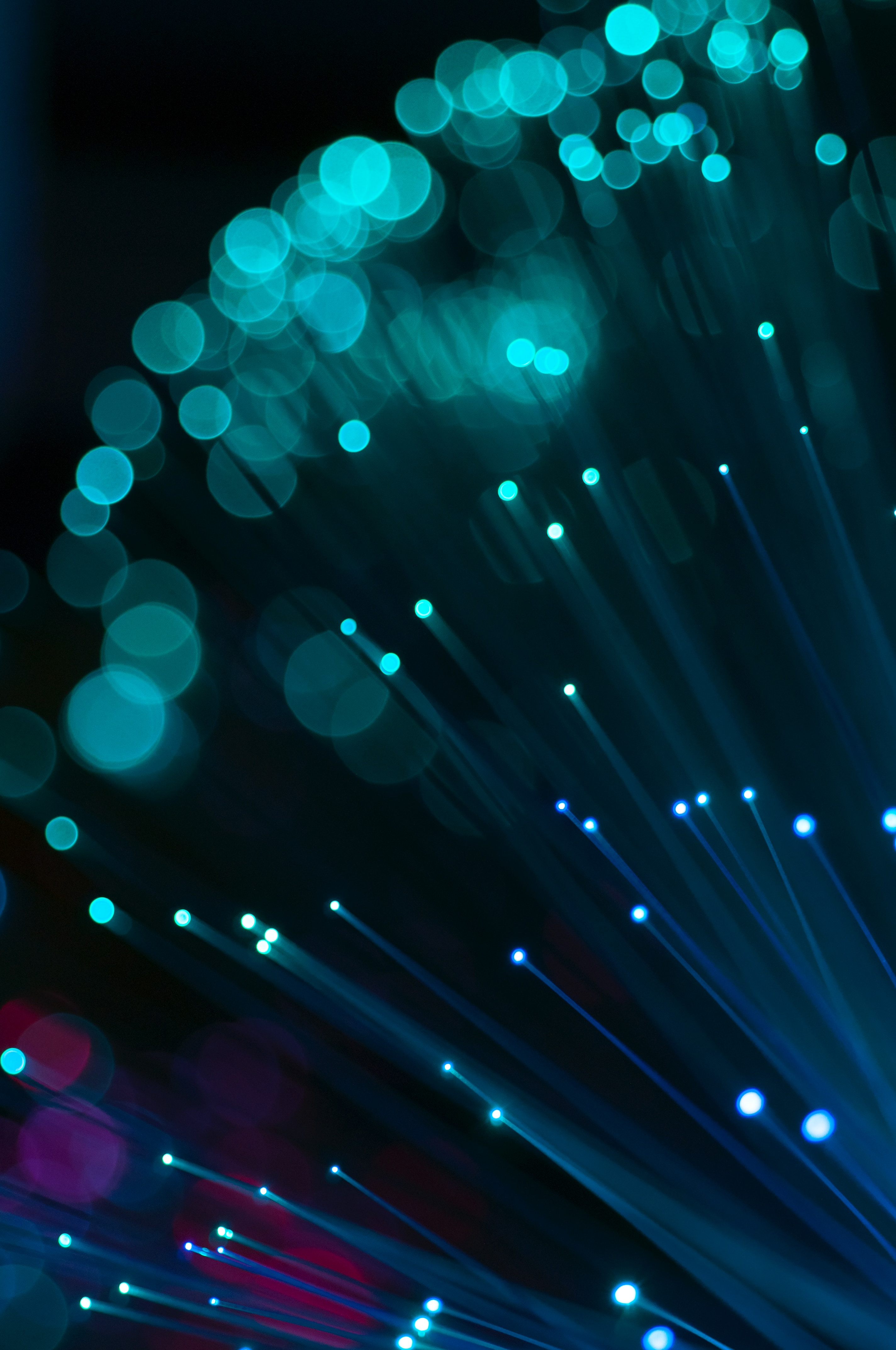 Broadband & Internet Services