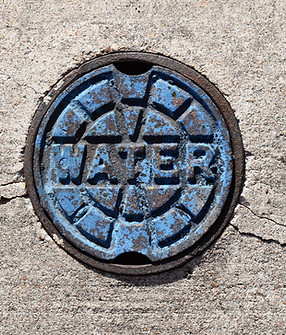 drain replacement, drain repair, tree root drain damage