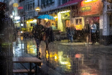 Image by Gil Ribeiro