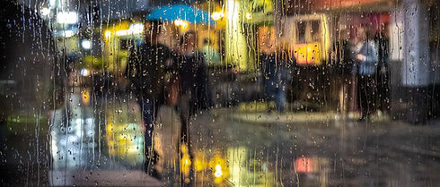 Image by Gil Ribeiro