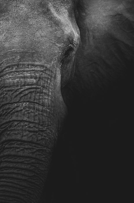 Image de Geran de Klerk