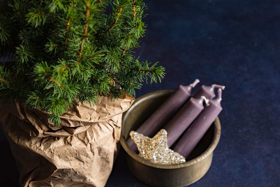 Adventskranz binden im Hinterconti Sondertermin