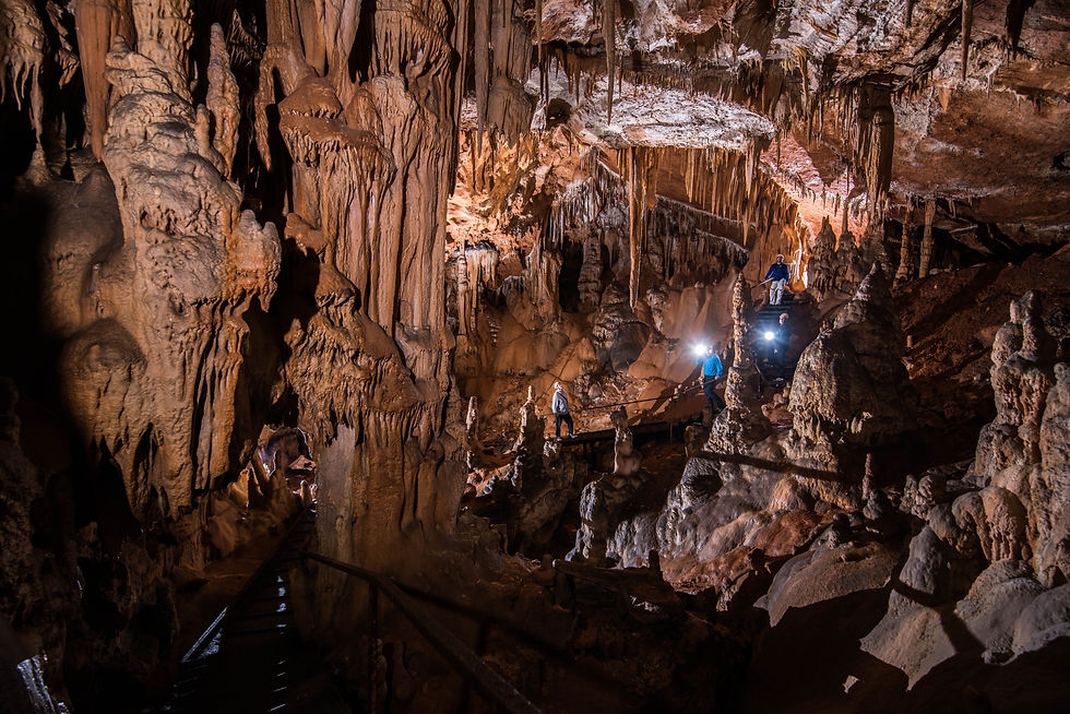 visite grotte dordogne