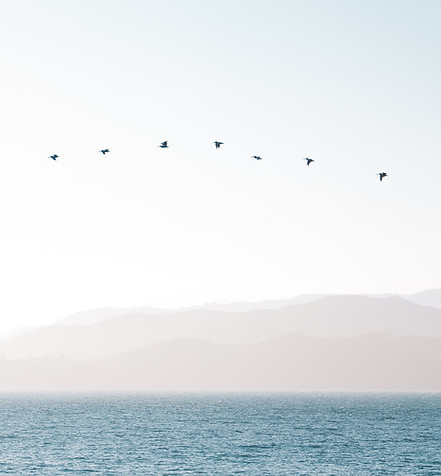 Image by Richard Lee