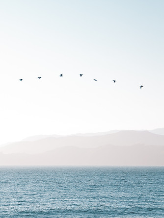 Image by Richard Lee