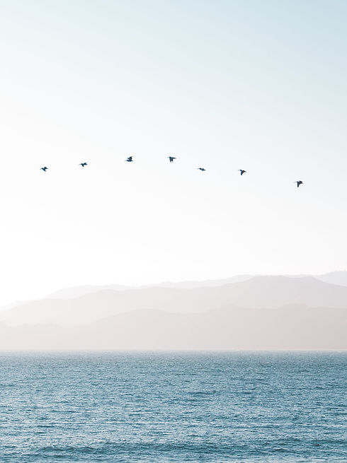 Image by Richard Lee