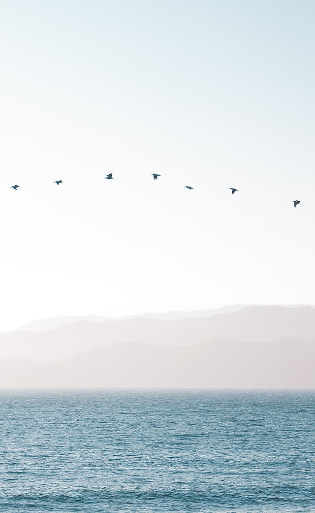 Image by Richard Lee