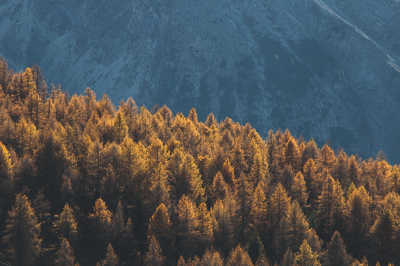 Image by Umberto