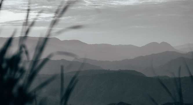 Image by Darwin Dela Rosa
