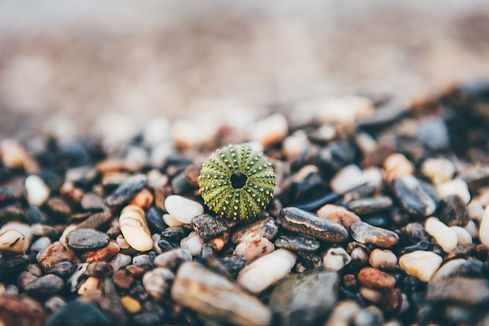 Image by Nick Karvounis