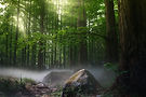 Image by zhang kaiyv