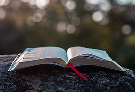 Image by Aaron Burden