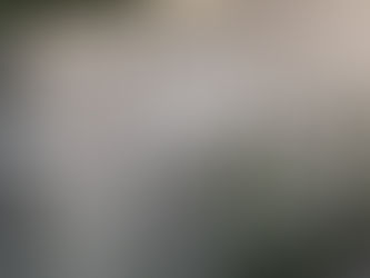 本年もよろしくお願いいたします。