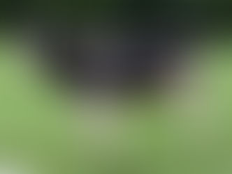 年末のご挨拶