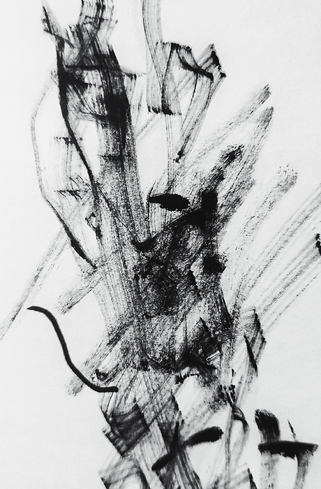 Image by Sheldon Liu